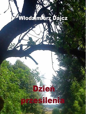 cover image of Dzień Przesilenia
